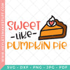 BIG Fall & Thanksgiving Bundle - 42 SVG Files!